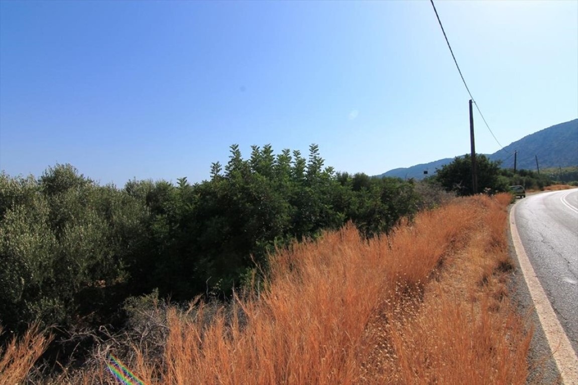 Land in Agios Nikolaos, Lasithi Prefecture, Greece – 50671
