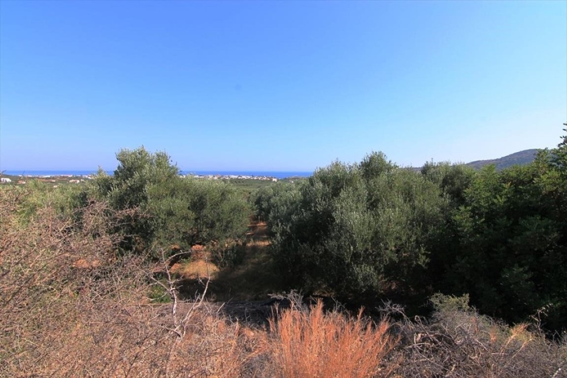 Land in Agios Nikolaos, Lasithi Prefecture, Greece – 50671