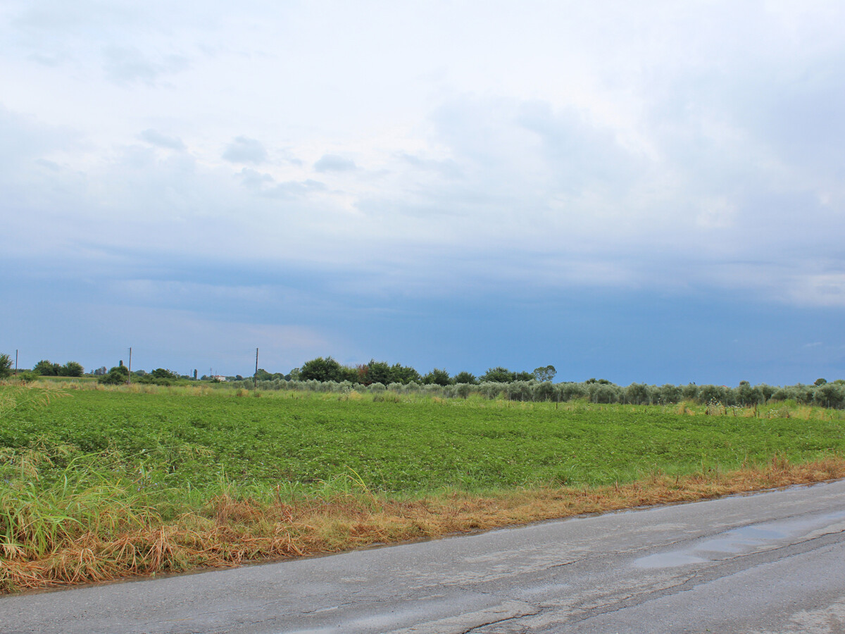 Land in Paralia, Pieria Prefecture, Greece – 50662