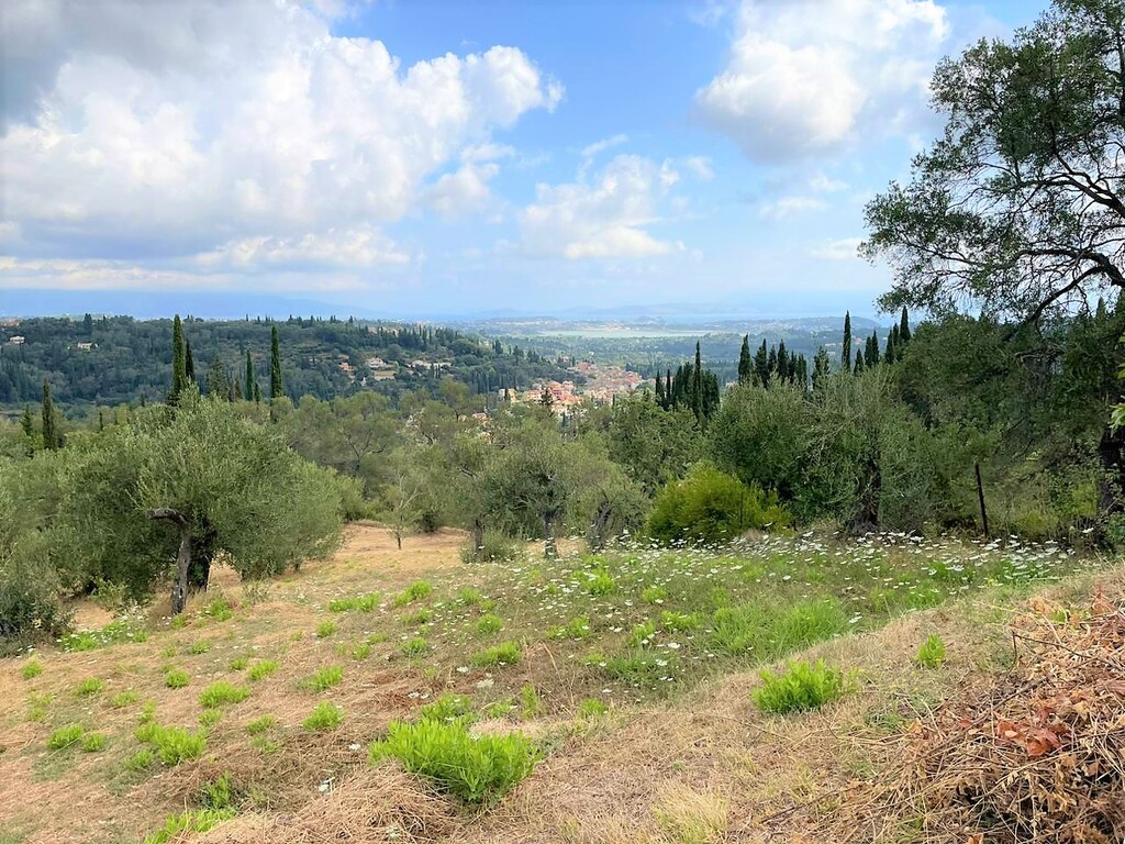 Land in Corfu, Corfu Prefecture, Greece – 50639