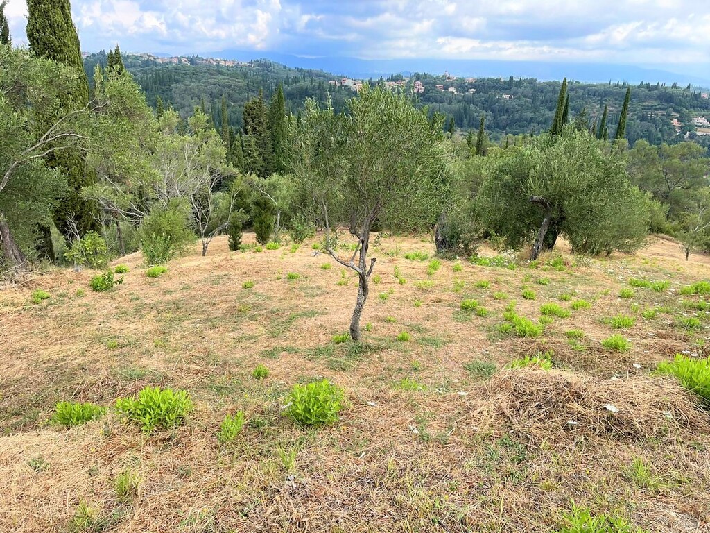 Land in Corfu, Corfu Prefecture, Greece – 50639