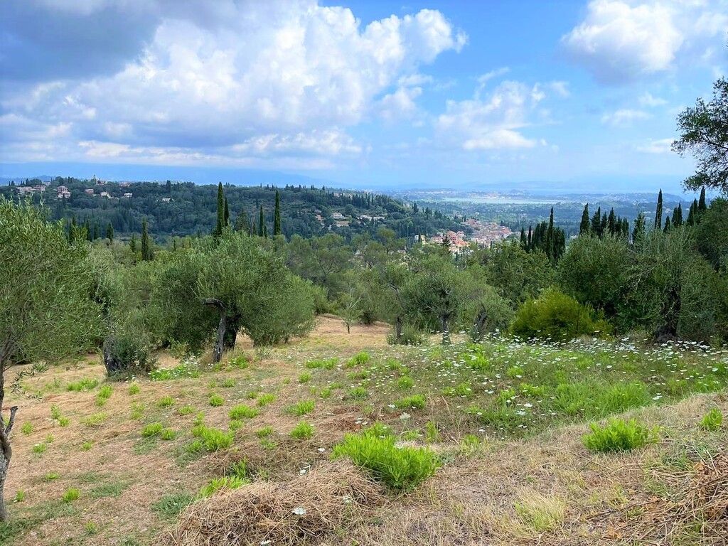 Land in Corfu, Corfu Prefecture, Greece – 50639