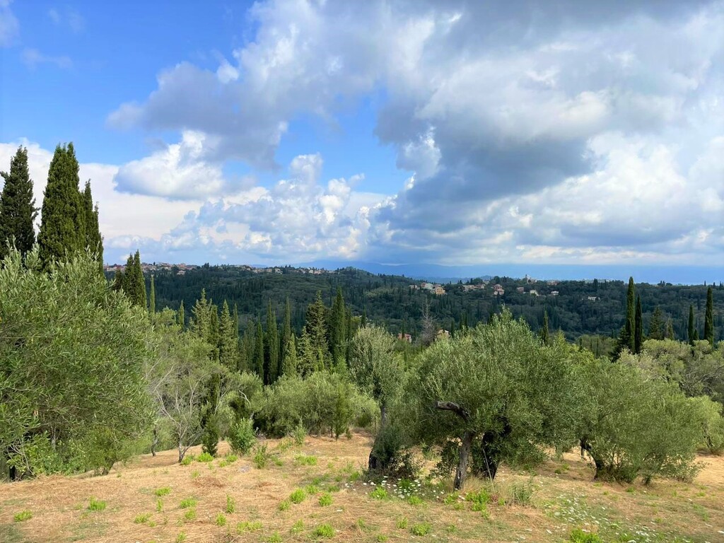 Land in Corfu, Corfu Prefecture, Greece – 50639