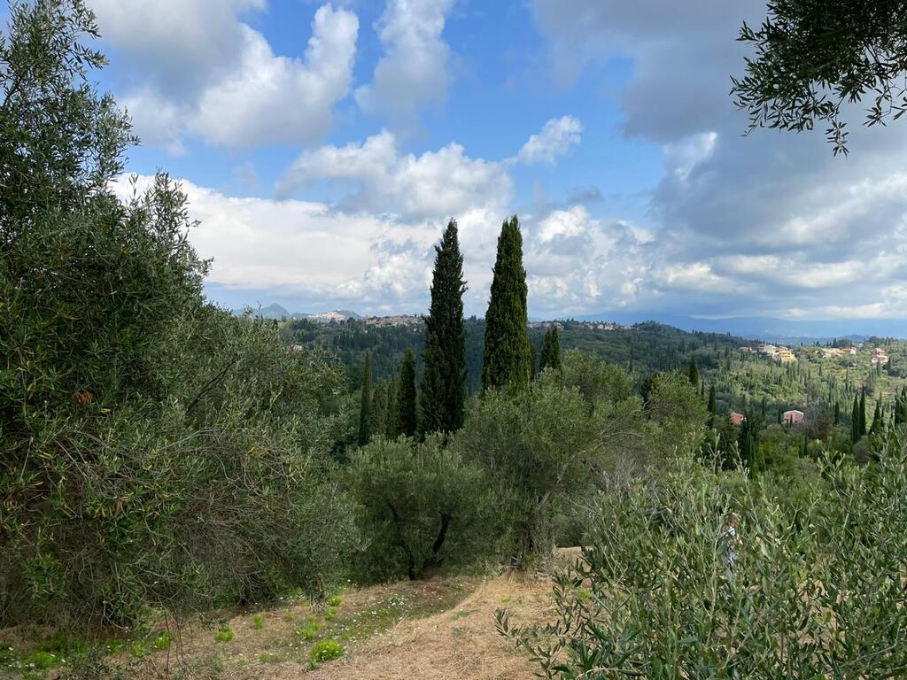 Land in Corfu, Corfu Prefecture, Greece – 50639