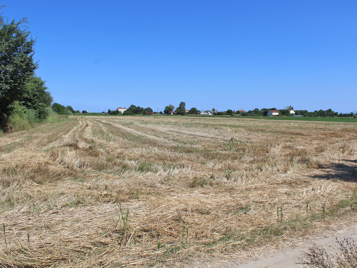 Land in Korinos, Pieria Prefecture, Greece – 50628