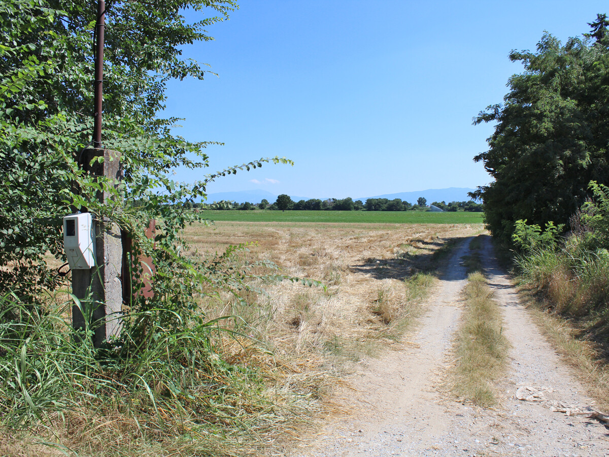 Land in Korinos, Pieria Prefecture, Greece – 50628