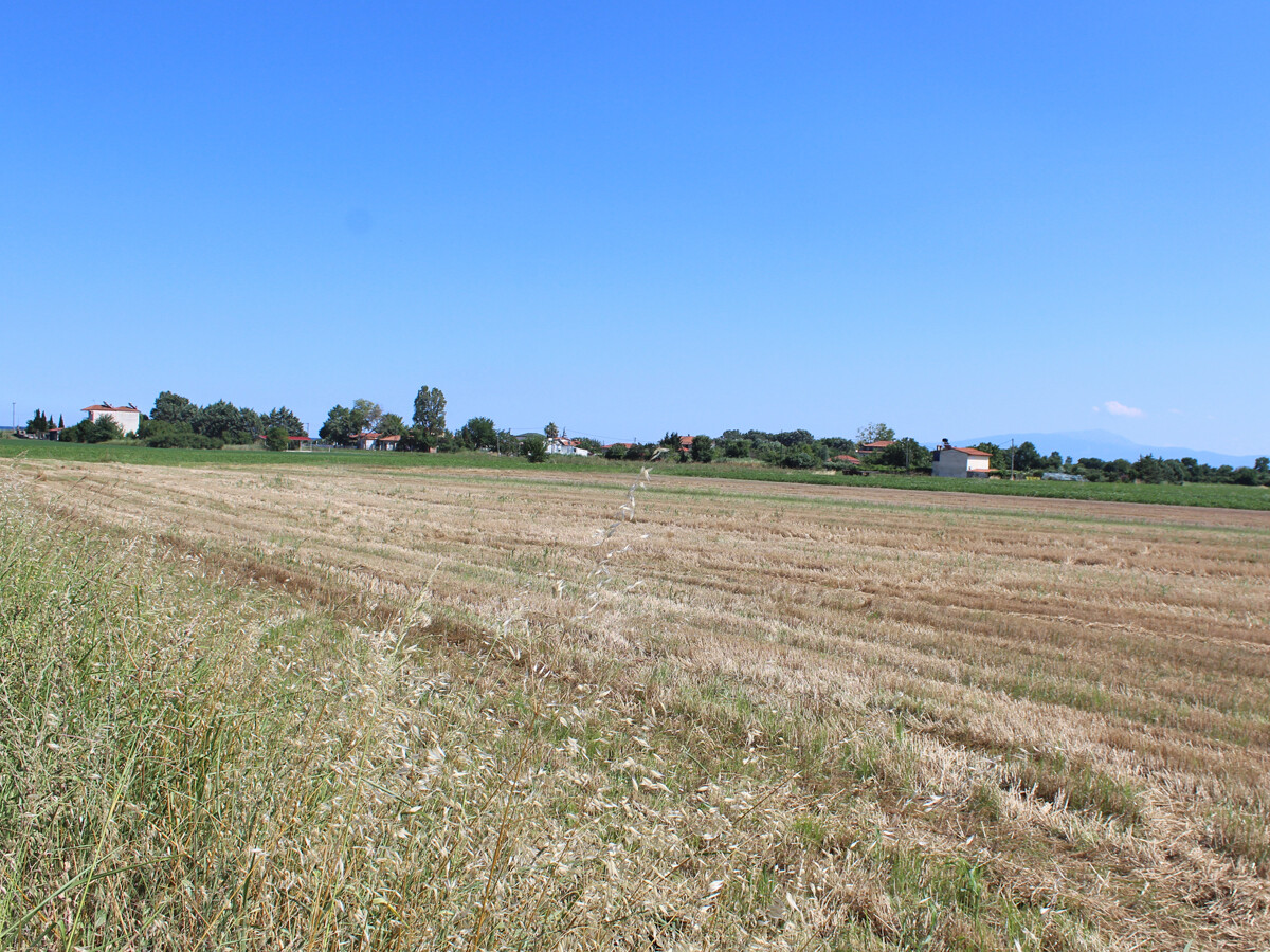 Land in Korinos, Pieria Prefecture, Greece – 50628