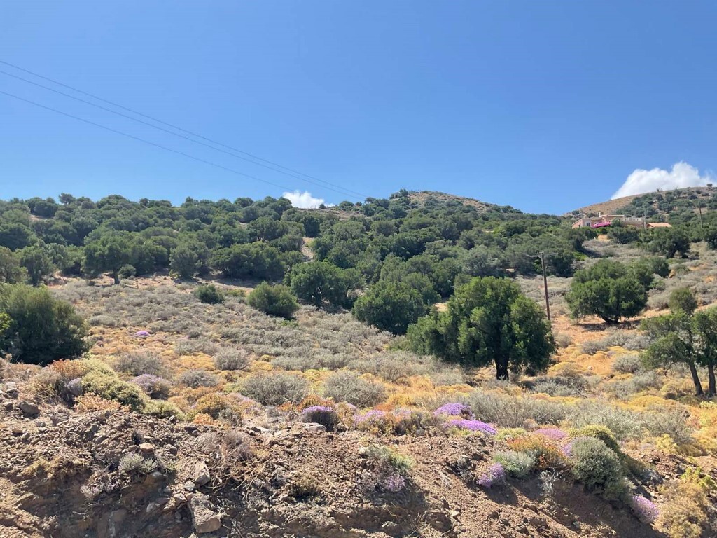 Land in Viannos, Heraklion Prefecture, Greece – 50581