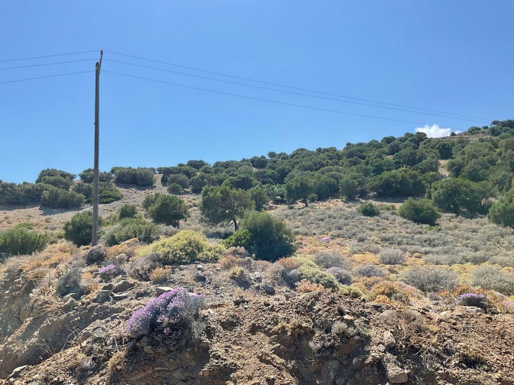 Land in Viannos, Heraklion Prefecture, Greece – 50581