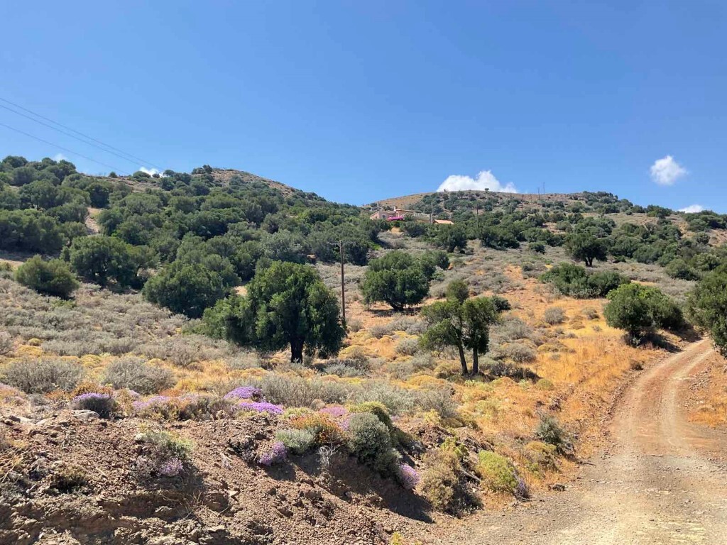 Land in Viannos, Heraklion Prefecture, Greece – 50581