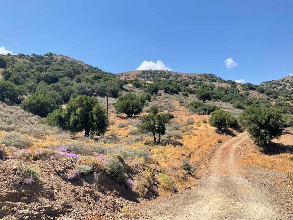 Land in Viannos, Heraklion Prefecture, Greece – 50581