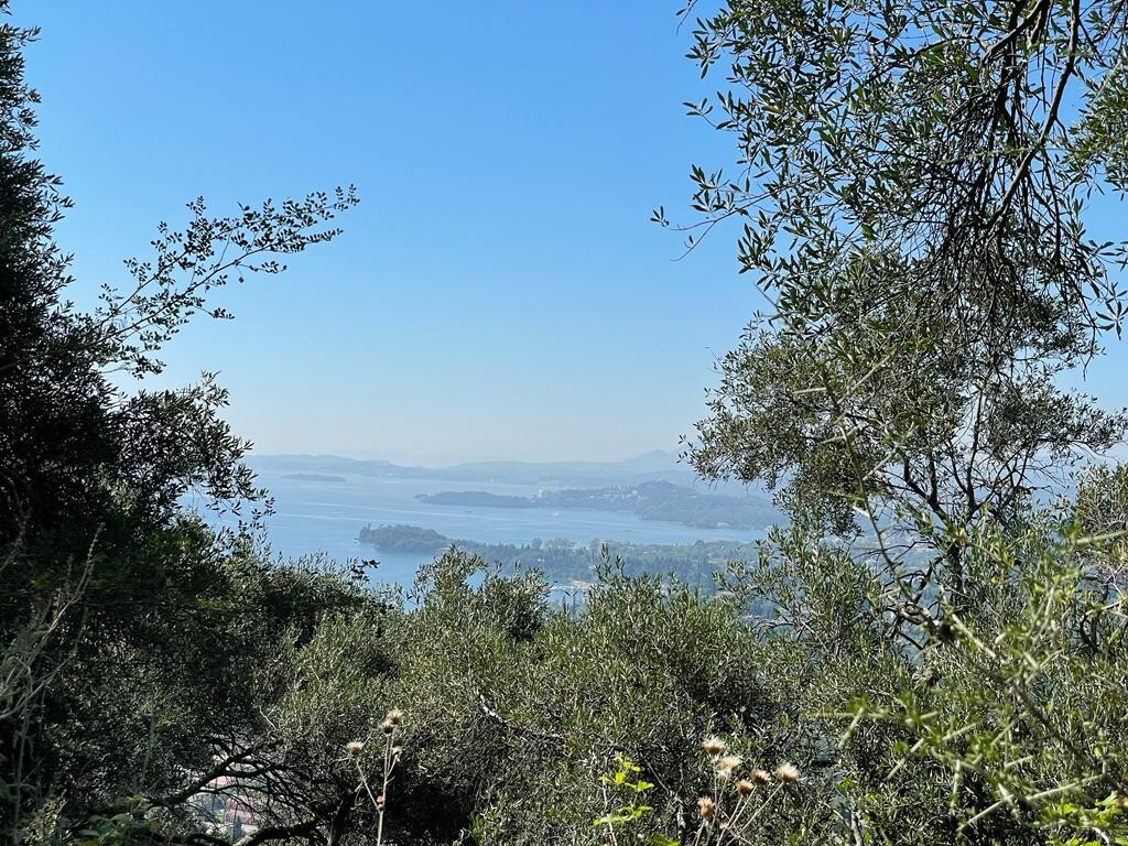 Land in Corfu, Corfu Prefecture, Greece – 50542