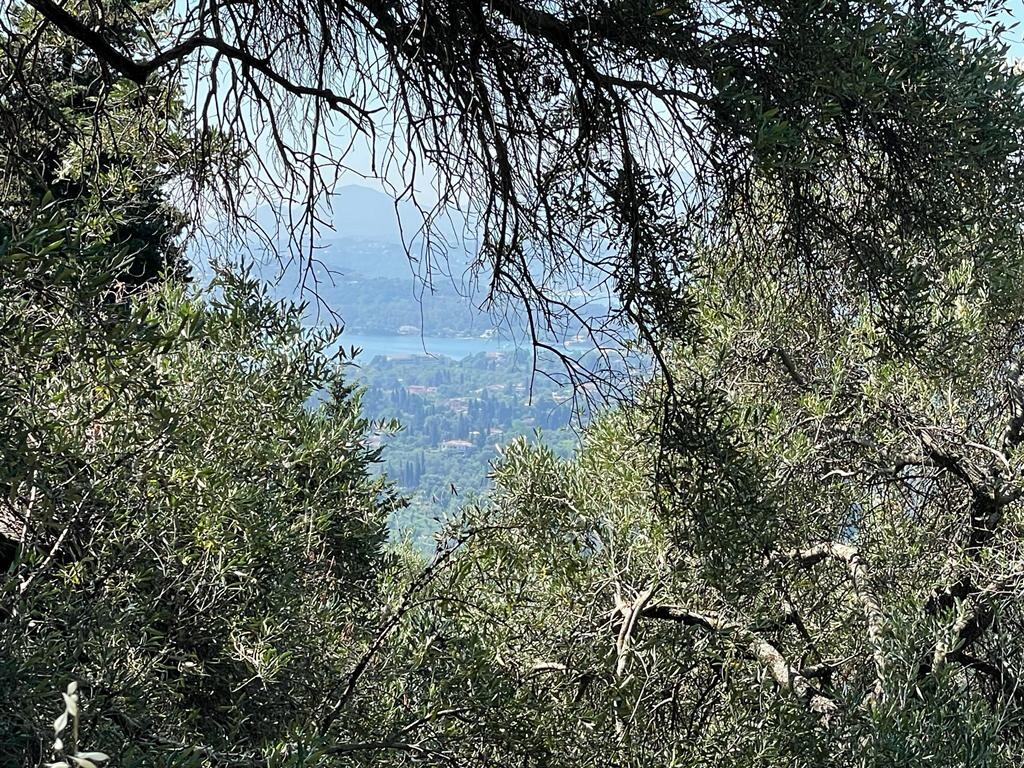 Land in Corfu, Corfu Prefecture, Greece – 50542