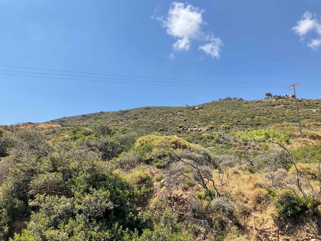 Land in Gazi, Heraklion Prefecture, Greece – 50494