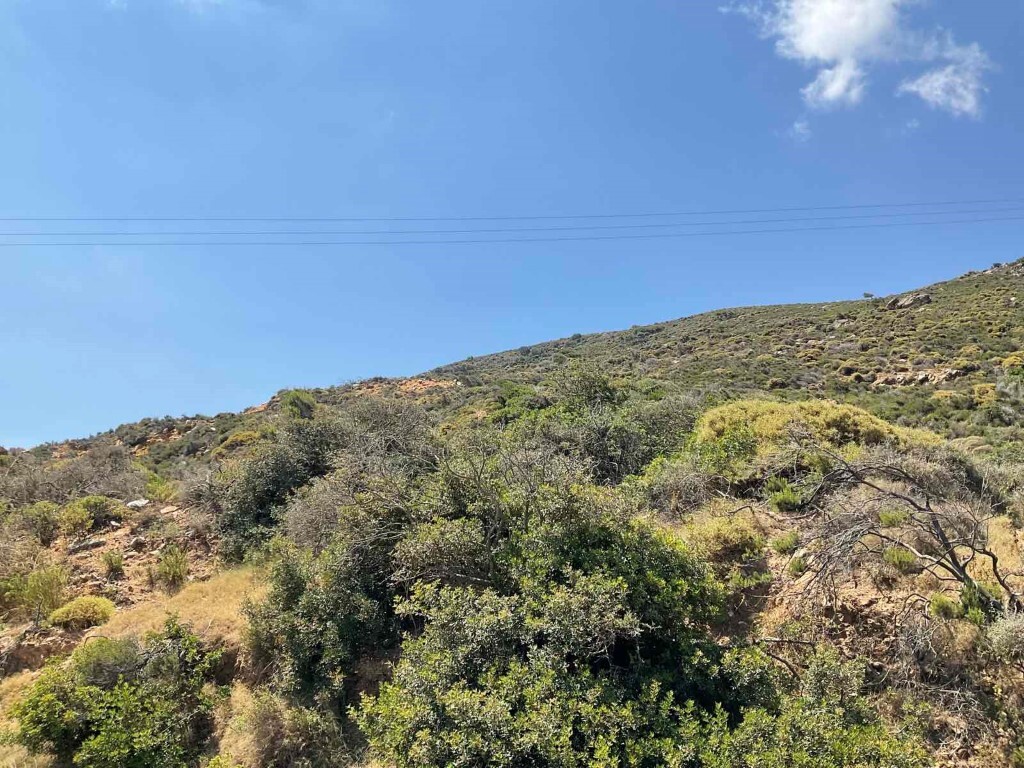 Land in Gazi, Heraklion Prefecture, Greece – 50494