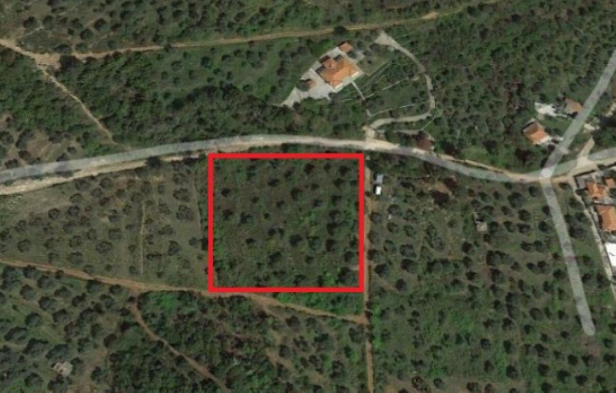 Land in Thasos, Kavala Prefecture, Greece – 50474