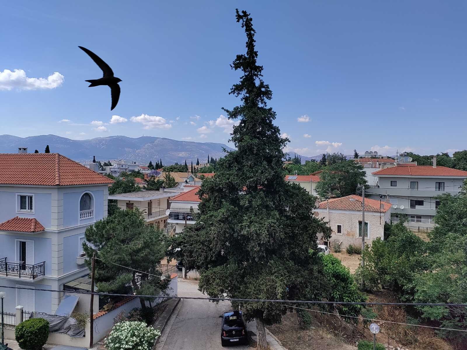 Duplex in Athens, Athens – Center, Greece – 50472