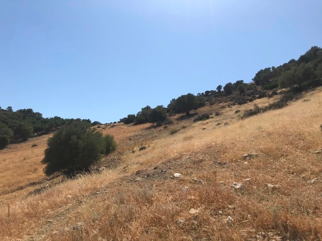 Land in Moires, Heraklion Prefecture, Greece – 50410