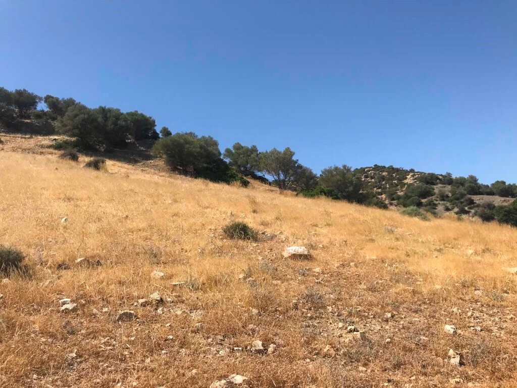 Land in Moires, Heraklion Prefecture, Greece – 50410