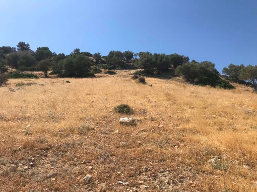 Land in Moires, Heraklion Prefecture, Greece – 50410