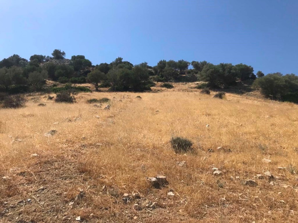 Land in Moires, Heraklion Prefecture, Greece – 50410