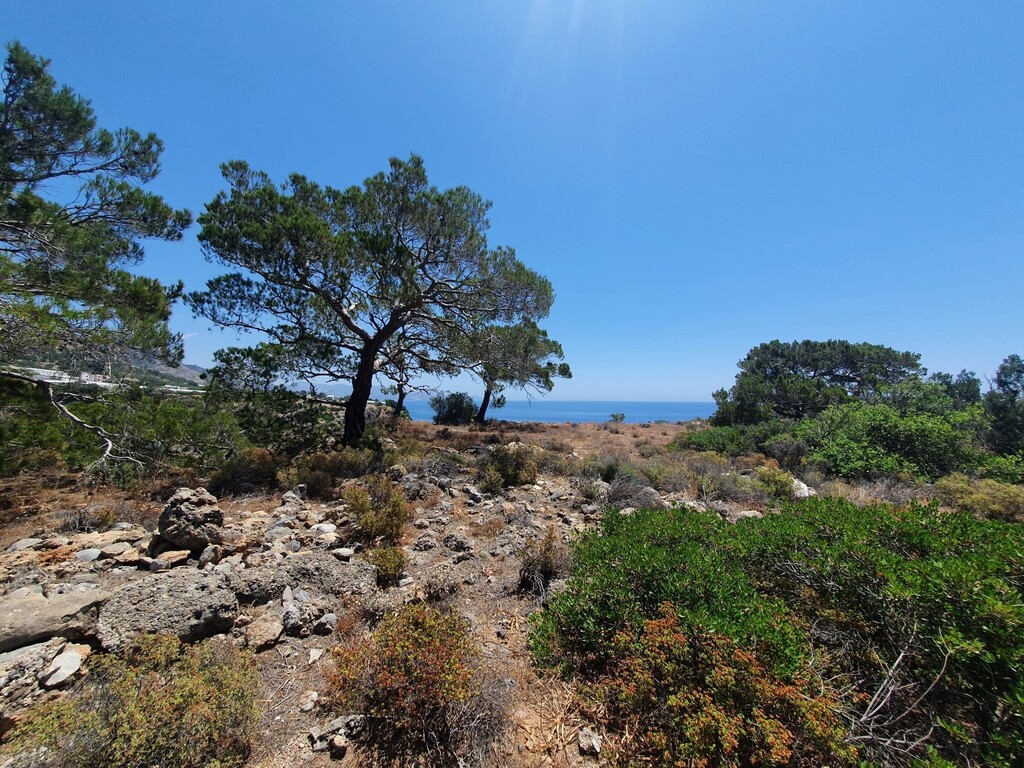 Land in Siteia, Lasithi Prefecture, Greece – 50406