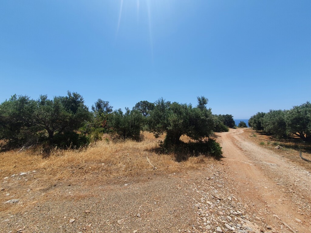Land in Siteia, Lasithi Prefecture, Greece – 50406