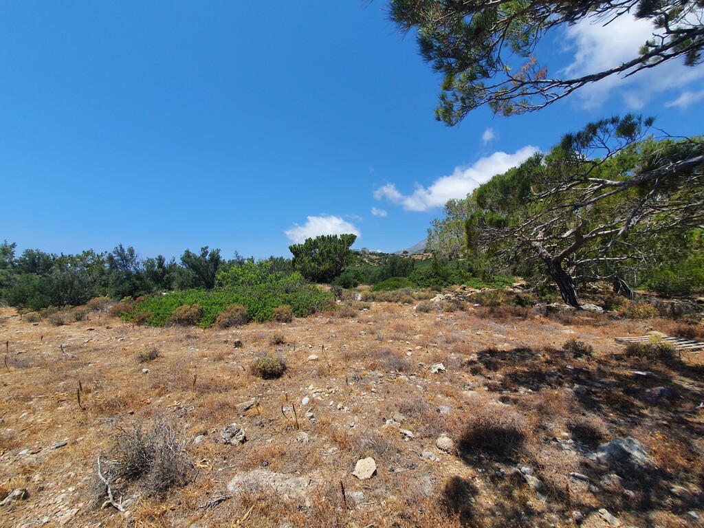 Land in Siteia, Lasithi Prefecture, Greece – 50406