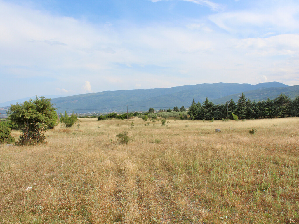 Land in Dion, Pieria Prefecture, Greece – 50404