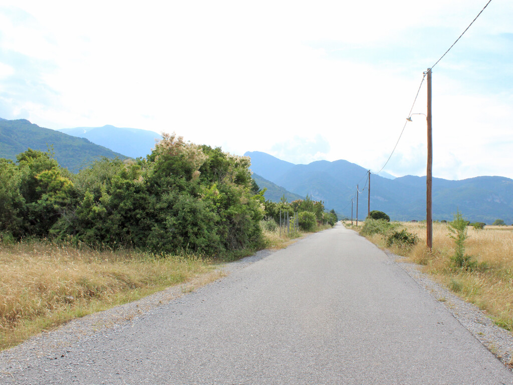 Land in Dion, Pieria Prefecture, Greece – 50404