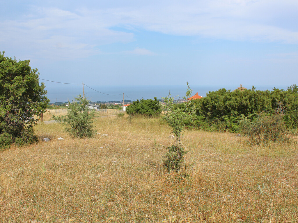 Land in Dion, Pieria Prefecture, Greece – 50404