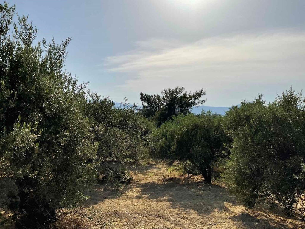 Land in Heraclion Cretes, Heraklion Prefecture, Greece – 50395
