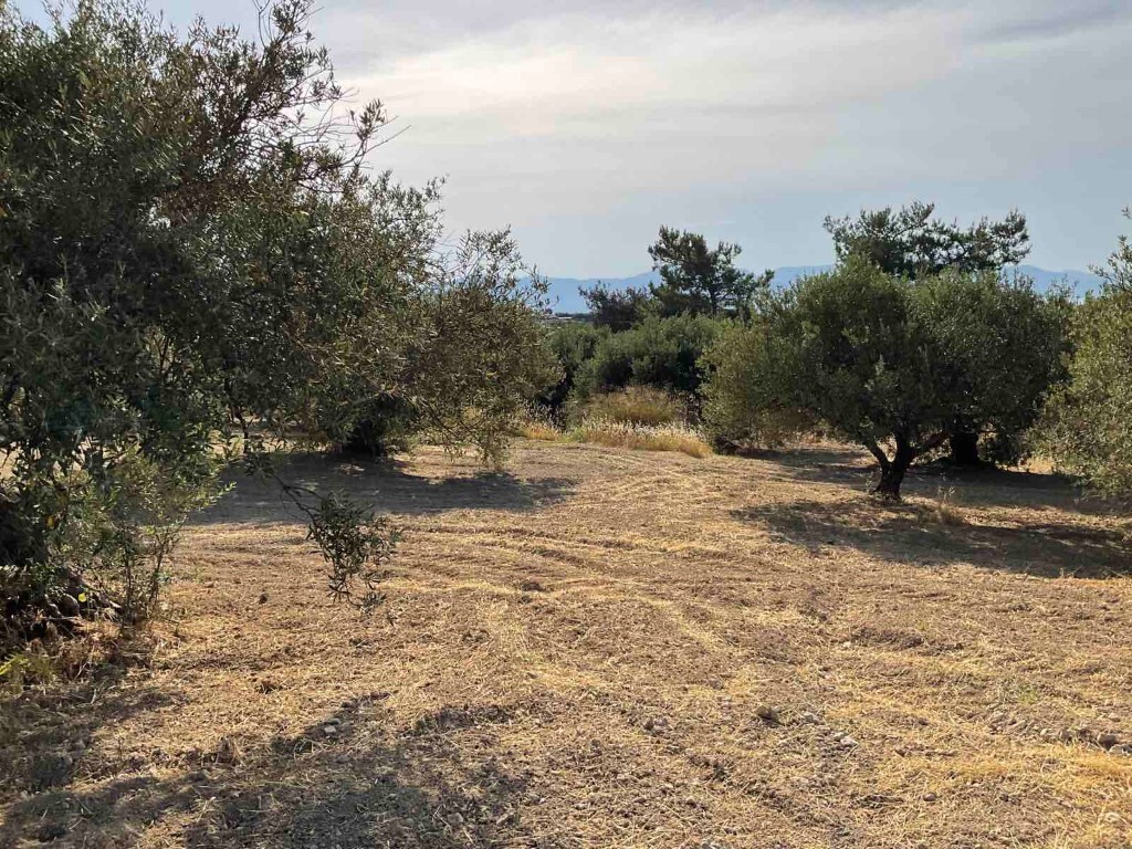 Land in Heraclion Cretes, Heraklion Prefecture, Greece – 50395