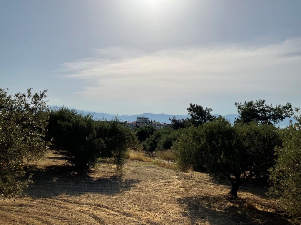 Land in Heraclion Cretes, Heraklion Prefecture, Greece – 50395