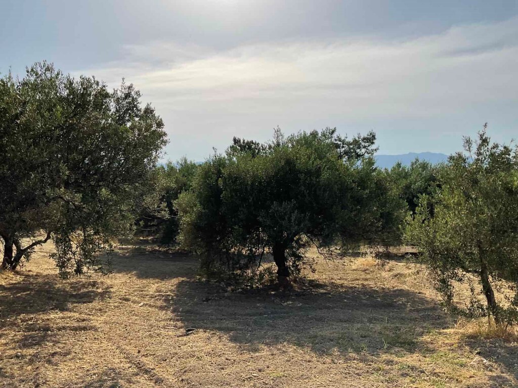 Land in Heraclion Cretes, Heraklion Prefecture, Greece – 50395