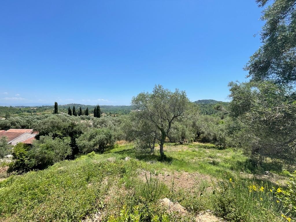 Land in Corfu, Corfu Prefecture, Greece – 50380