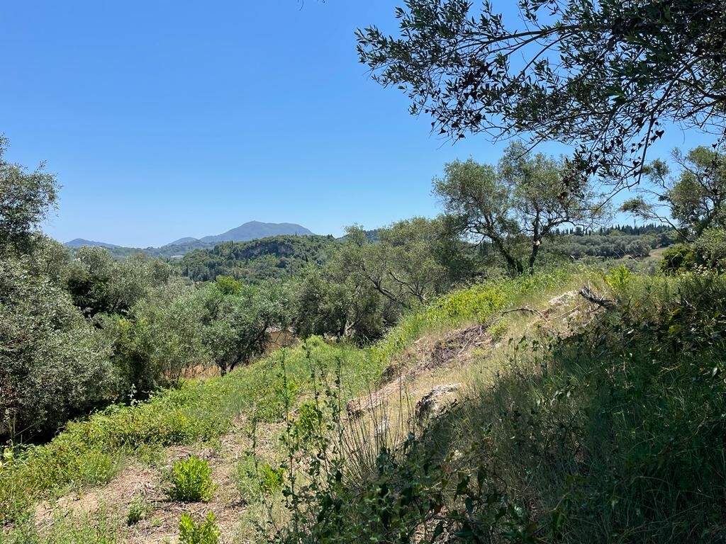 Land in Corfu, Corfu Prefecture, Greece – 50380