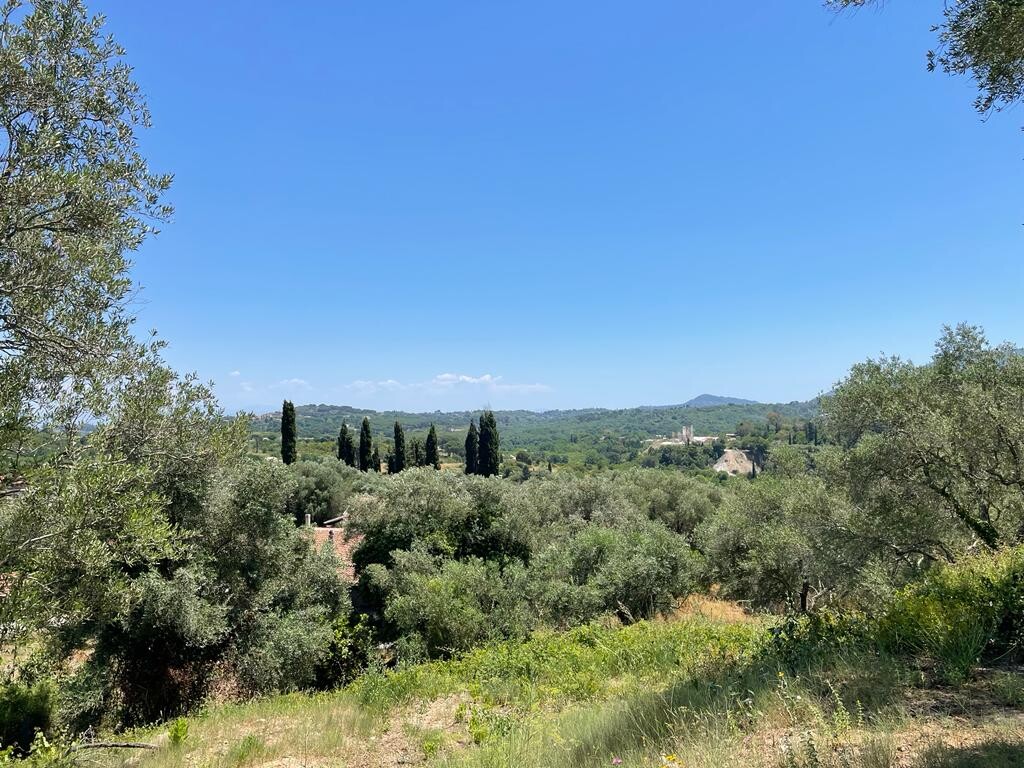 Land in Corfu, Corfu Prefecture, Greece – 50380