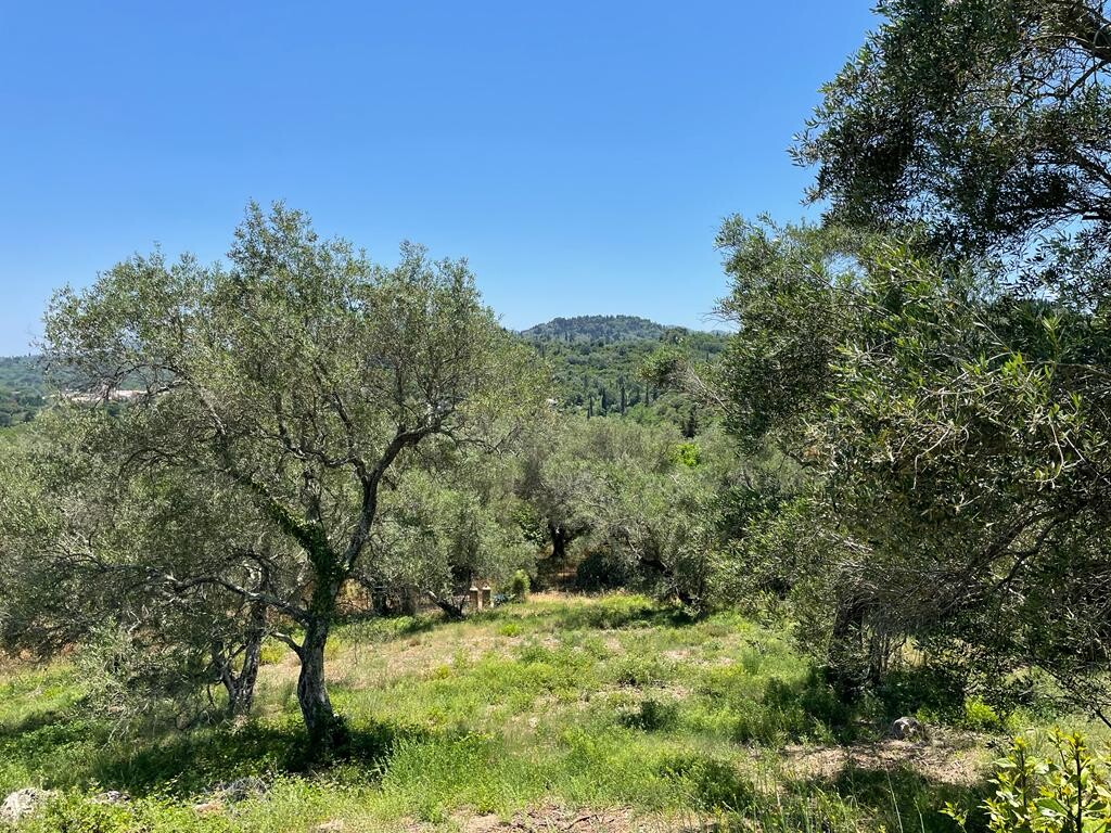 Land in Corfu, Corfu Prefecture, Greece – 50380