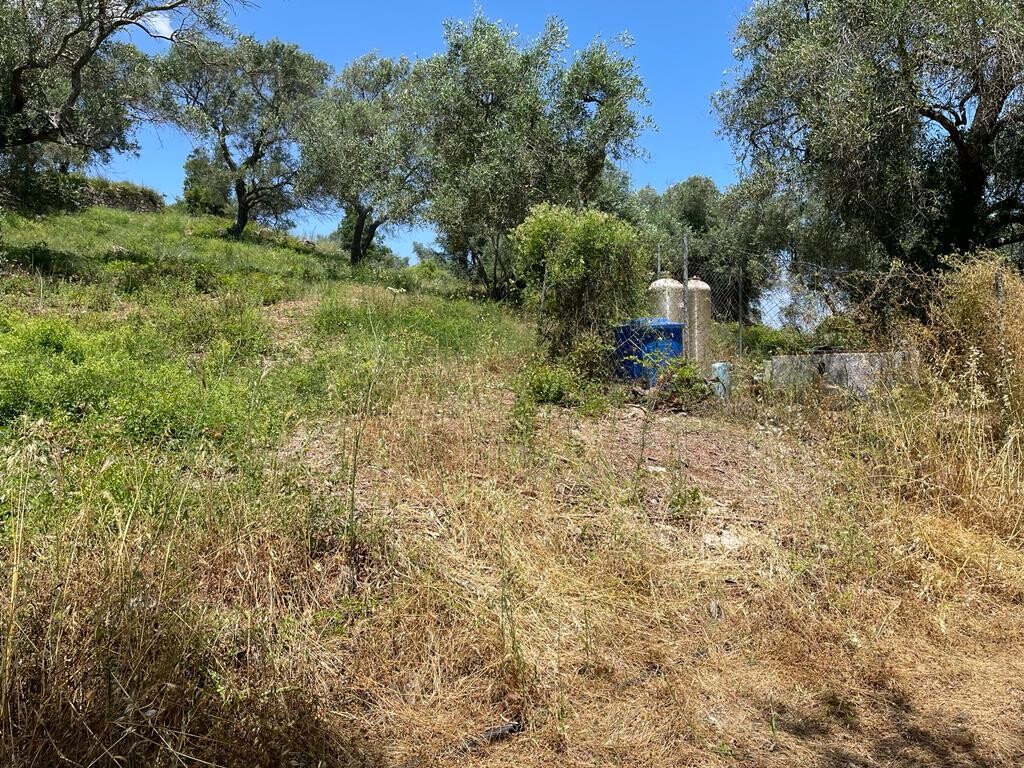 Land in Corfu, Corfu Prefecture, Greece – 50380