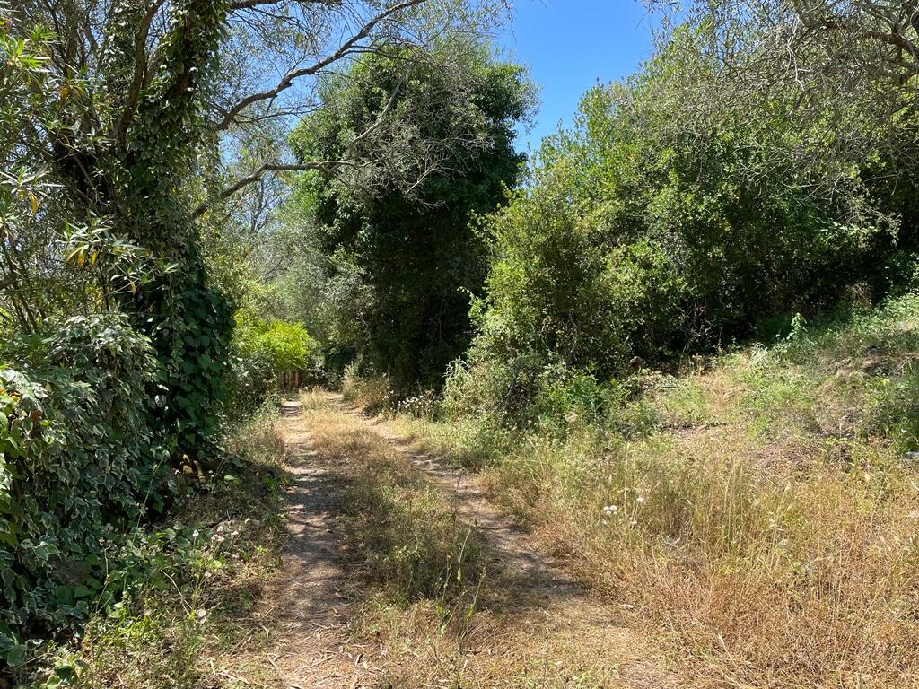 Land in Corfu, Corfu Prefecture, Greece – 50380