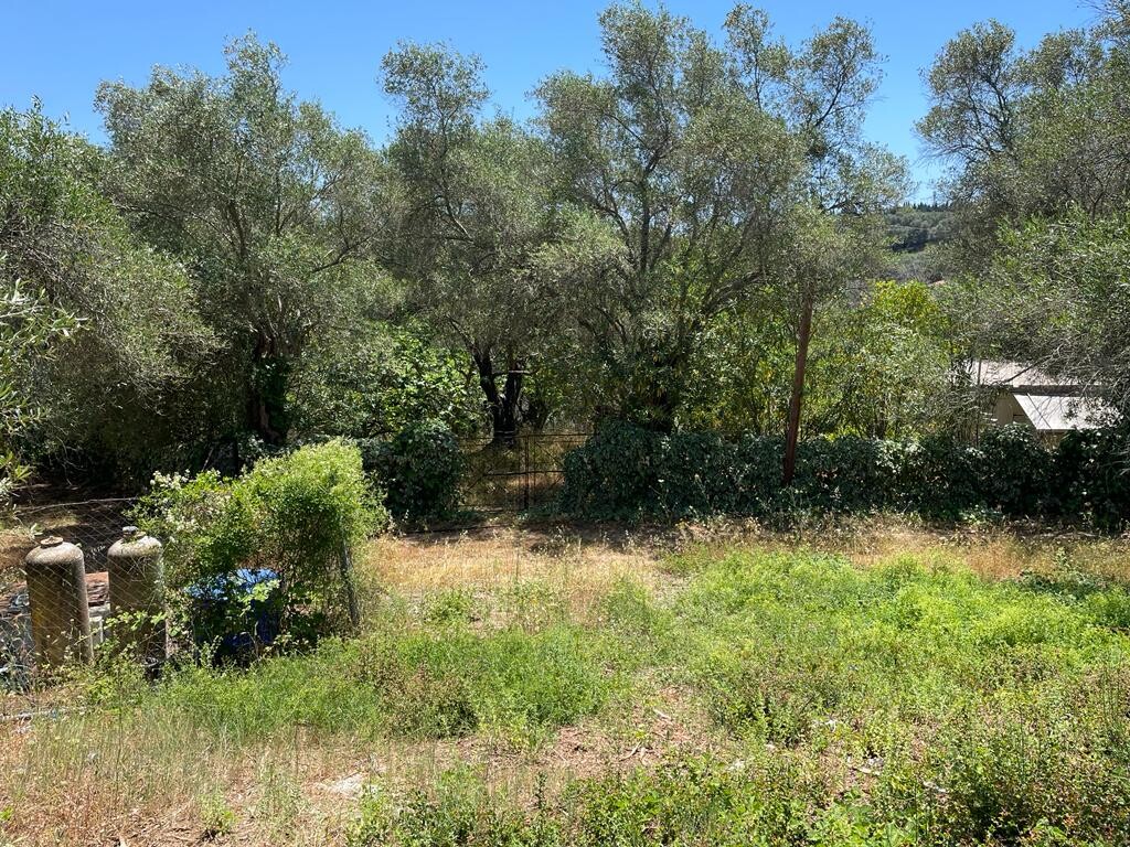 Land in Corfu, Corfu Prefecture, Greece – 50380
