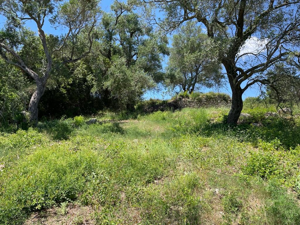 Land in Corfu, Corfu Prefecture, Greece – 50380