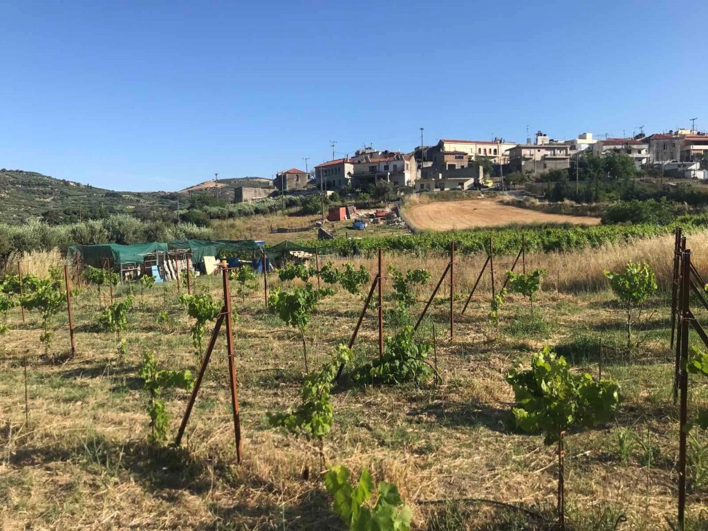 Land in Tetrachori, Heraklion Prefecture, Greece – 50374