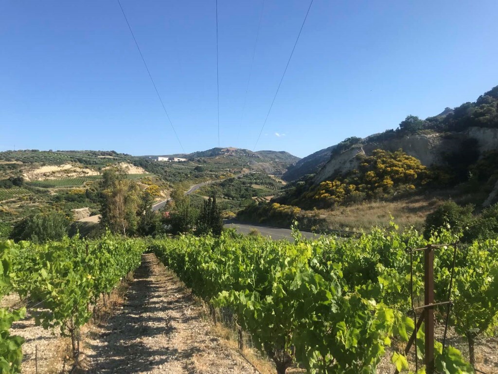 Land in Tetrachori, Heraklion Prefecture, Greece – 50364