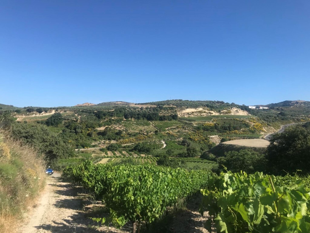 Land in Tetrachori, Heraklion Prefecture, Greece – 50364