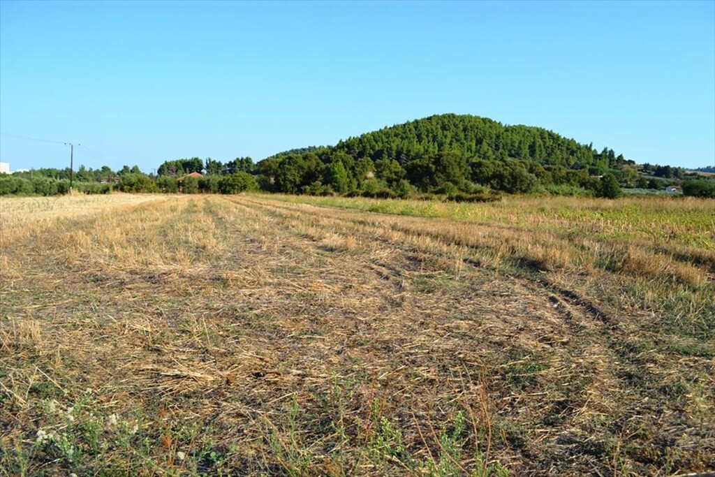 Land in Kassandra, Chalkidiki, Greece – 50351