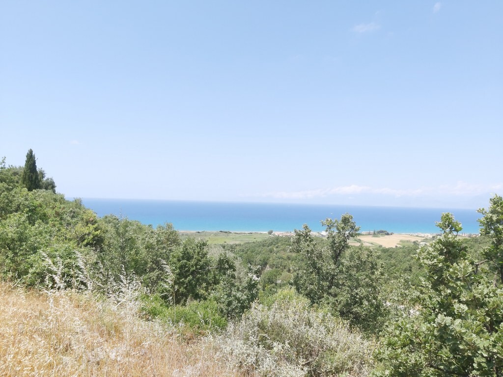 Land in Corfu, Corfu Prefecture, Greece – 50343