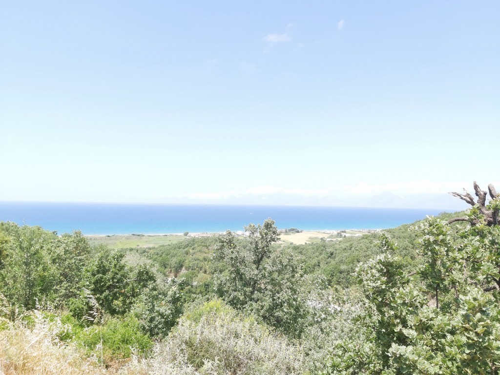 Land in Corfu, Corfu Prefecture, Greece – 50343