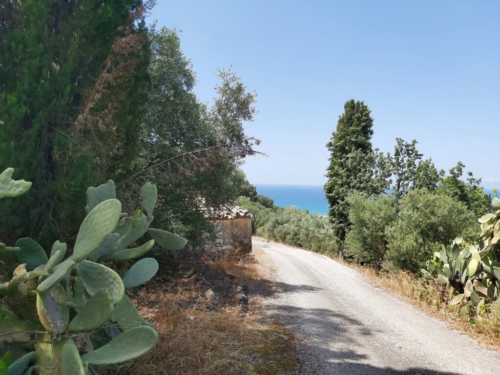 Land in Corfu, Corfu Prefecture, Greece – 50343
